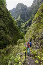 Hiker on a Levada