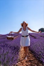 A caucasian woman in a summer lavender field with a hat picking flowers