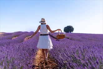 A woman in a summer lavender field with a hat picking flowers