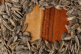 Roasted sunflower seeds with salt on a wooden table with copy space in the center forming a circle around them