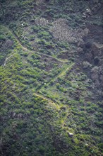 Serpentines of a path on a steep slope