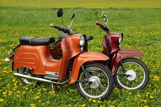Mopeds Schwalbe from the GDR in a meadow