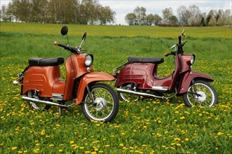 Mopeds Schwalbe from the GDR in a meadow