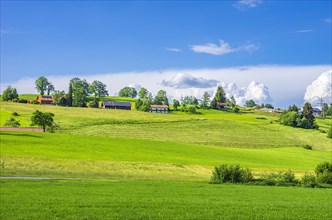 Landscape and agricultural scenery in the Western Allgaeu around the village of Boeserscheidegg near Lindau