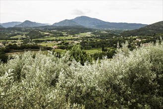 Mont Ventoux