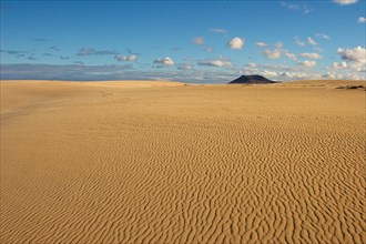Yellow sand desert