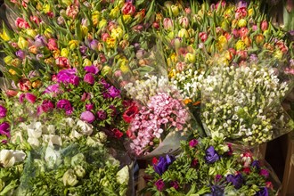 Flowers at the local farmers market in Muenster Muensterland
