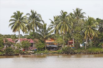 Abai Village on the Kinabatangan River