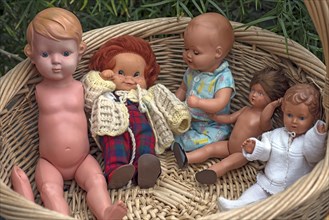 Antique baby dolls in a basket