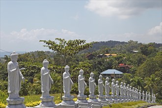 Buddha statues line the path to Puu Sih Syh Temple