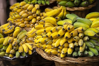 Banana stall at the Mercado dos Lavradores