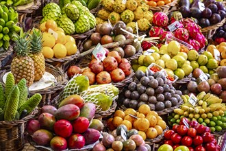 Fruit and fruit stall at the Mercado dos Lavradores