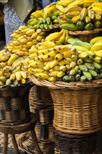 Banana stall at the Mercado dos Lavradores