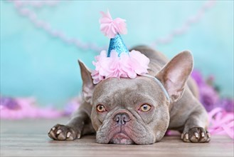 French Bulldog dog with cute birthday party hat next to purple streamers in front of blue background