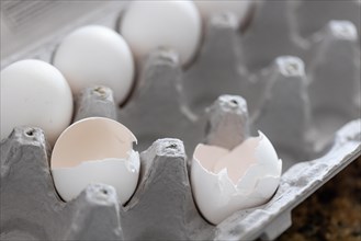 Carton of white chicken eggs and egg shells