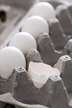 Carton of white chicken eggs and egg shells