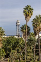 Montjuic botanical garden and the cable car towers of the port in the city of Barcelona