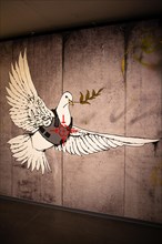Bulletproof Dove of Peace in Bethlehem
