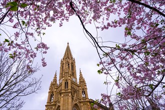 Spring in the city of San Sebastian next to the Buen Pastor church in the center of the city