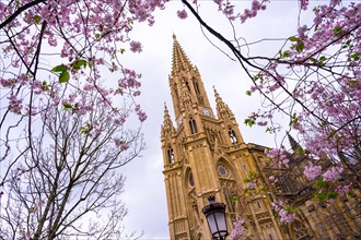 Church of the Good Shepherd between pink flowers on the trees in spring in the city of San Sebastian