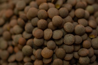Close-up detail of unfocused brown lentils macro photography