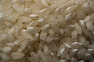 Close-up detail of rice grains out of focus macro photography