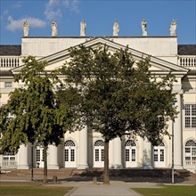Fridericianum with an oak tree planted by Beuys to accompany his sculpture Stadtverwaldung statt Stadtverwaltung