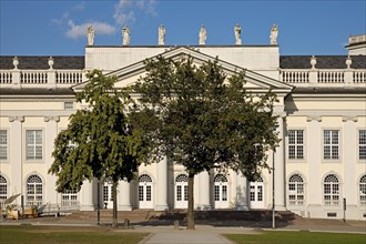 Fridericianum with an oak tree planted by Beuys to accompany his sculpture Stadtverwaldung statt Stadtverwaltung