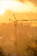 Crane in golden yellow sunrise