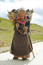 Old Tibetan woman with prayer wheel in her hand and yak dung basket on her back