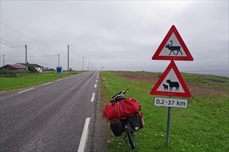 Sign warns of reindeer and sheep on the road