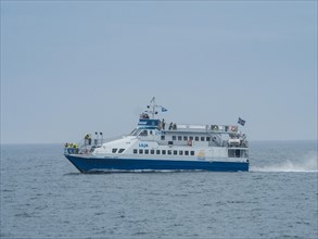 Boat for whale watching