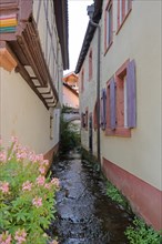 Narrow stream between houses