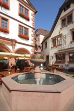 Market Fountain with Old Town Hall in Lohr am Main