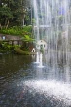 Monte Palace Tropical Garden