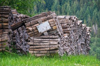 Firewood in metre logs lies ready bundled in a meadow in the Upper Black Forest