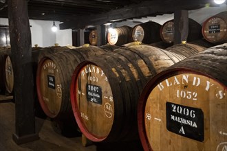 Blandy's barrels of Madeira Wine