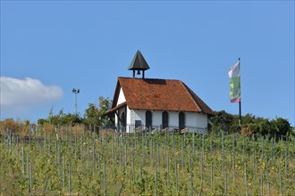 Michaelskapelle on the Michelsberg with flag in the vineyard