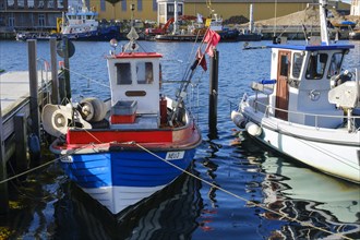 Fishing boat in the harbour