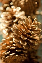 Glittering pine cones