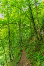 Urach Waterfall Premium Hiking Trail