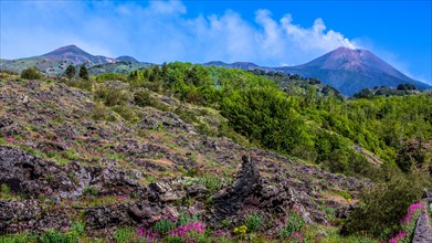 Fertile enclosure in front of Aetna with four summit craters is the highest active volcano in Europe at 3357 metres