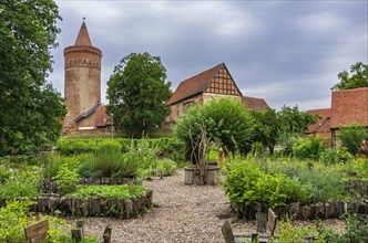 Herb garden and castle building of Burg Stargard