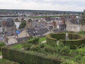 View of Roseraie des jardins de leveche and in the background the city of Blois and the Jacques Gabriel Bridge