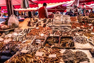 Historic fish market La pescheria with a cornucopia of colourful sea creatures