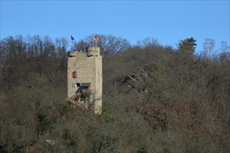 Laurenburg Castle in the Forest