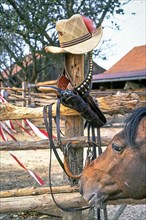 Colt+holster+horse+hat