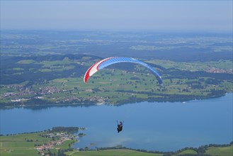 Paragliding over the Forggensee