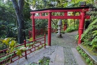 Monte Palace Tropical Garden