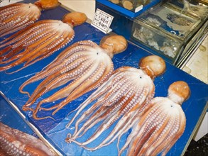 Octopus for sale at Noryangjin fish market